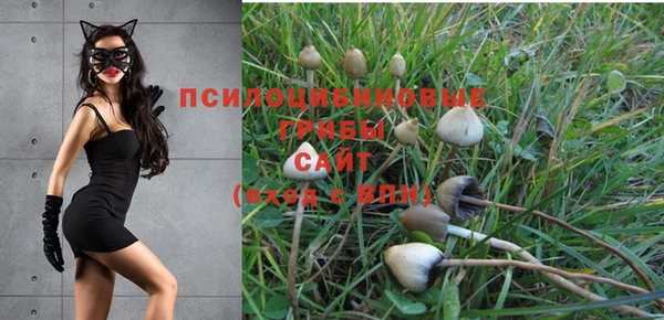 MDMA Михайлов