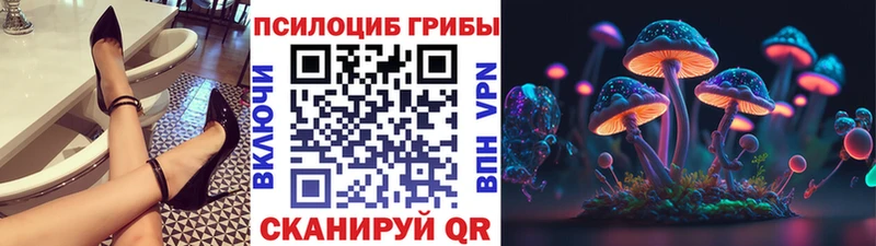цены блэк спрут как войти Галлюциногенные грибы Magic Shrooms Красный Кут