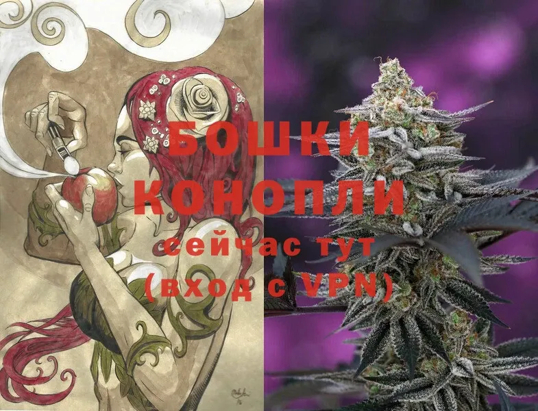 Бошки марихуана SATIVA & INDICA  Красный Кут 